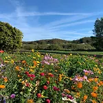 Am Nationalpark - Ihr Zuhause Auf Rügen * Lohme