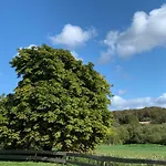 Am Nationalpark - Ihr Zuhause Auf Rügen Сasa de vacaciones