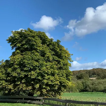 Am Nationalpark - Ihr Zuhause Auf Ruegen Feriehus